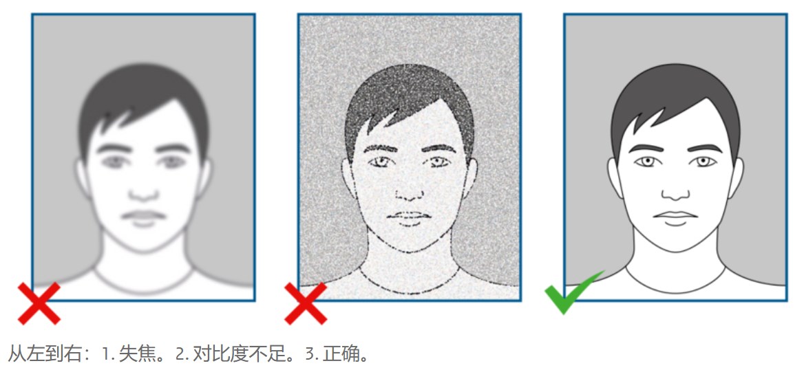 荷兰签证照片 荷兰签证照片