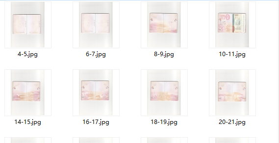 申请阿根廷电子签证护照扫描件 申请阿根廷电子签证护照扫描件