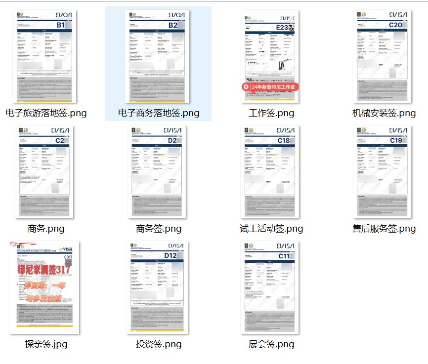 印尼签证类型更换!各种类型,专业代办! 印尼签证类型更换!各种类型,专业代办!