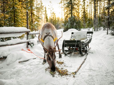 申请芬兰旅游签证应提供哪些材料？