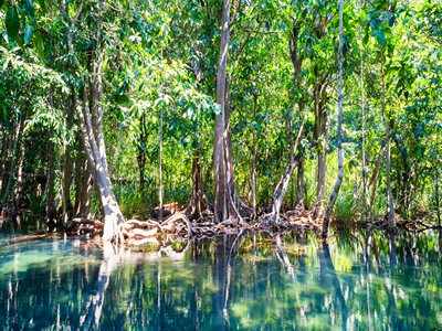 携带泰国签证，就一定能入境吗？