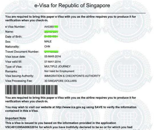 加坡电子签证页样图