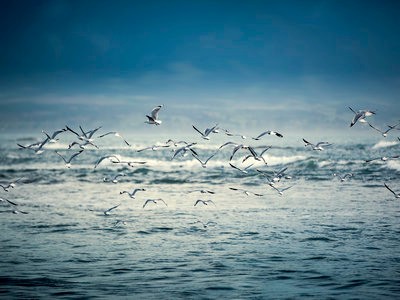 办理新西兰签证需要在职证明吗？