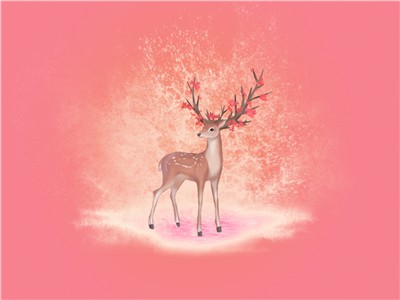 可以加急办理孟加拉签证吗？