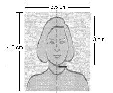 西班牙签证照片要求