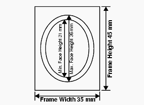 加拿大签证照片要求