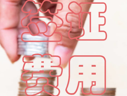 斯里兰卡签证费用