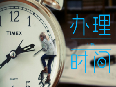 南非签证办理时间