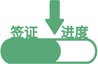 埃及签证进度查询