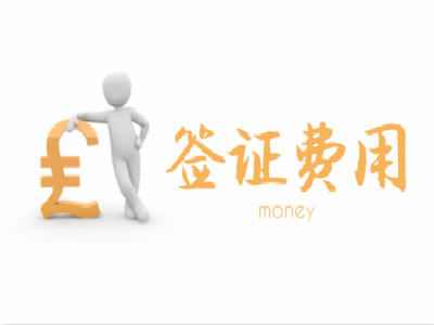 尼日利亚签证费用