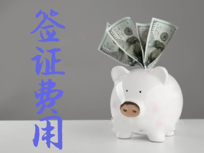 坦桑尼亚签证费用