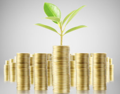 赞比亚签证费用