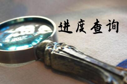 马里签证进度查询