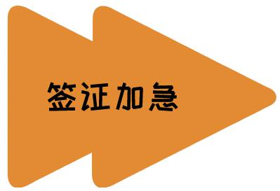 马里签证加急办理