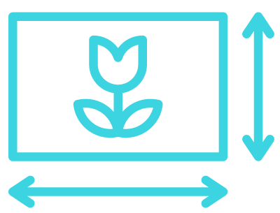 葡萄牙签证照片要求