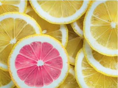 乌干达签证类型