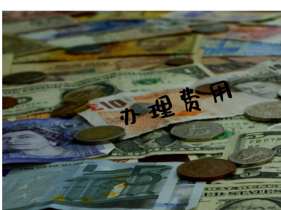 哥伦比亚签证费用