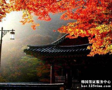 韩国签证还能办理吗? 韩国签证还能办理吗?