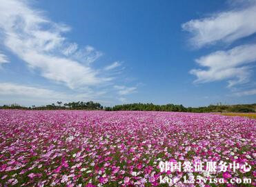 韩国自由行签证条件? 韩国自由行签证条件?