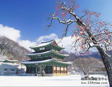 韩国旅游签证的在职证明怎么写? 韩国旅游签证的在职证明怎么写?