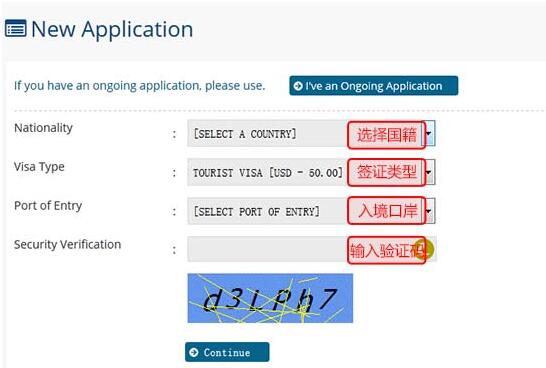 信息填写 信息填写