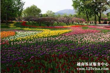 什么时间去越南旅游最好? 什么时间去越南旅游最好?