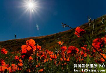 什么时候去韩国旅游比较好? 什么时候去韩国旅游比较好?