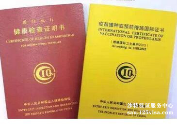 沙特签证国际疫苗证书如何获得? 沙特签证国际疫苗证书如何获得?