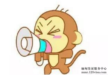 缅甸电子签证使用注意事项 缅甸电子签证使用注意事项