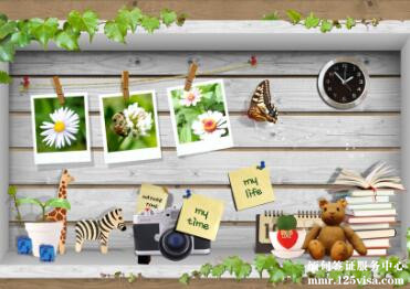 缅甸电子签证照片要求 缅甸电子签证照片要求