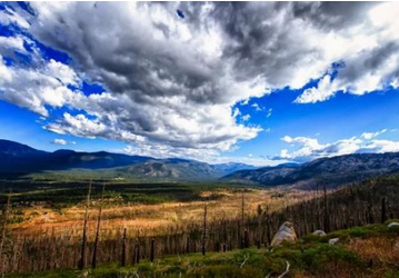 沙特签证邀请函上都有哪些信息呢? 沙特签证邀请函上都有哪些信息呢?