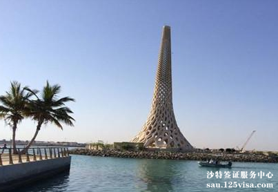 沙特签证的使馆保险是强制的吗? 沙特签证的使馆保险是强制的吗?