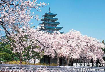 现在可以自己去办韩国签证吗? 现在可以自己去办韩国签证吗?