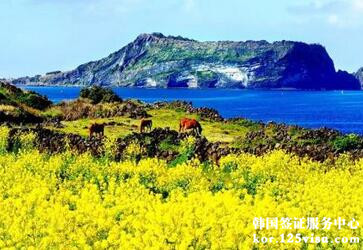 去韩国济州岛被拒签怎么回事儿? 去韩国济州岛被拒签怎么回事儿?