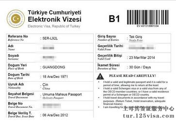 什么是电子签证? 什么是电子签证?