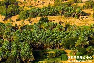 沙特签证所需的邀请函可以由沙方公司出吗? 沙特签证所需的邀请函可以由沙方公司出吗?