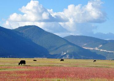 巴基斯坦旅游要签证吗? 巴基斯坦旅游要签证吗?