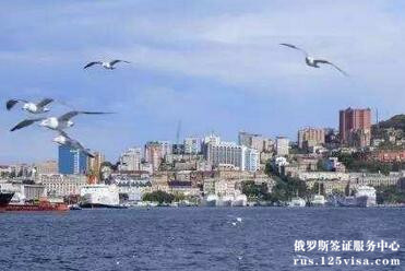 俄罗斯可以办理电子签证吗? 俄罗斯可以办理电子签证吗?