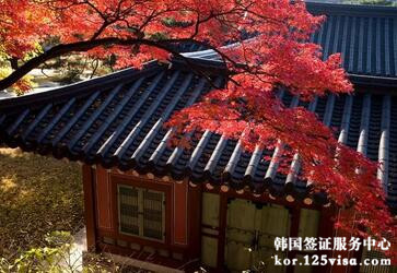 现在有韩国出境记录也不能申请韩国多次签证吗? 现在有韩国出境记录也不能申请韩国多次签证吗?