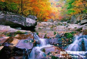 人在国外能在中国申请韩国签证吗? 人在国外能在中国申请韩国签证吗?