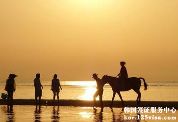 现在可自己单独申请韩国签证吗? 现在可自己单独申请韩国签证吗?