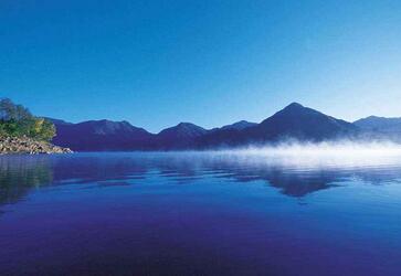 韩国签证申请表能用中文填写吗? 韩国签证申请表能用中文填写吗?