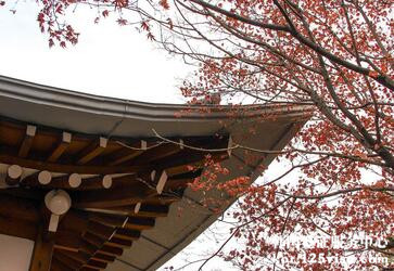 韩国签证网上预约可以吗? 韩国签证网上预约可以吗?