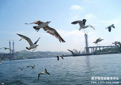 去俄罗斯海参崴旅游需要签证吗? 去俄罗斯海参崴旅游需要签证吗?