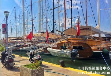 谁能申请电子签证? 谁能申请电子签证?