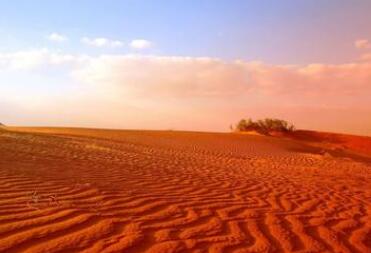 申请沙特签证需要经济证明吗? 申请沙特签证需要经济证明吗?