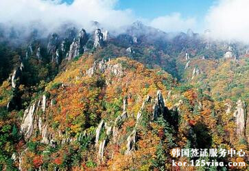 韩国留学签证多少钱? 韩国留学签证多少钱?