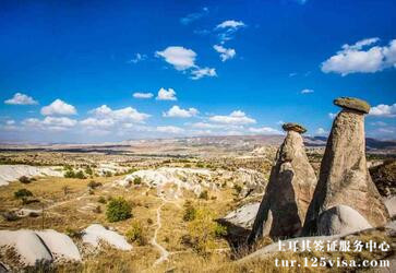 土耳其签证在职证明怎么提供? 土耳其签证在职证明怎么提供?