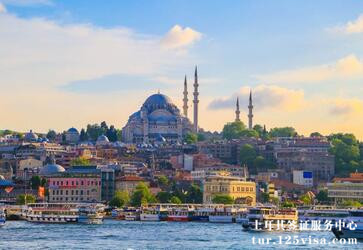 电子签证可以找人代办吗 电子签证可以找人代办吗