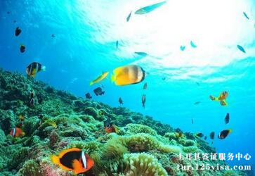 未成年人办理土耳其签证需要哪些材料? 未成年人办理土耳其签证需要哪些材料?